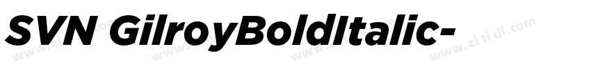 SVN GilroyBoldItalic字体转换